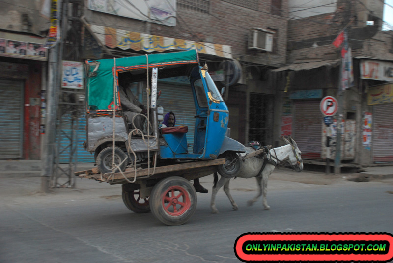 Funny Pakistan rickshaw donkey ~ Only In pakistan