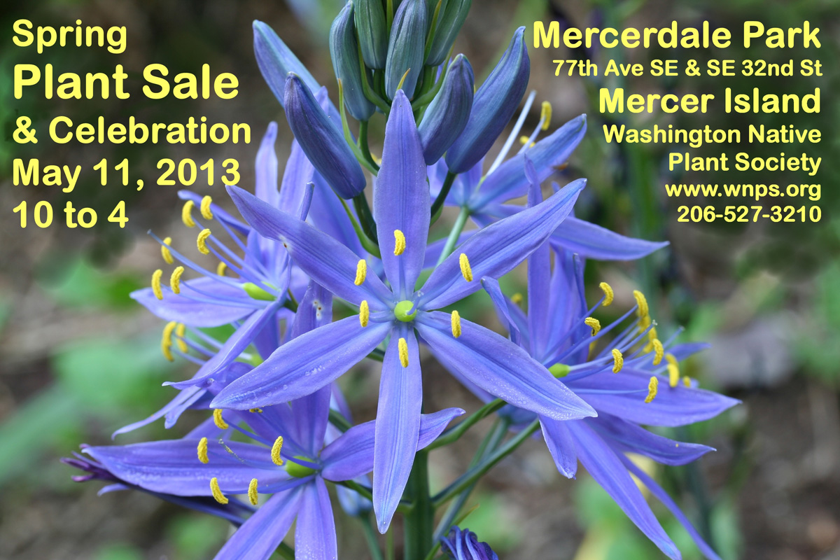 Shoreline Area News Native Plant Sale and Celebration benefits