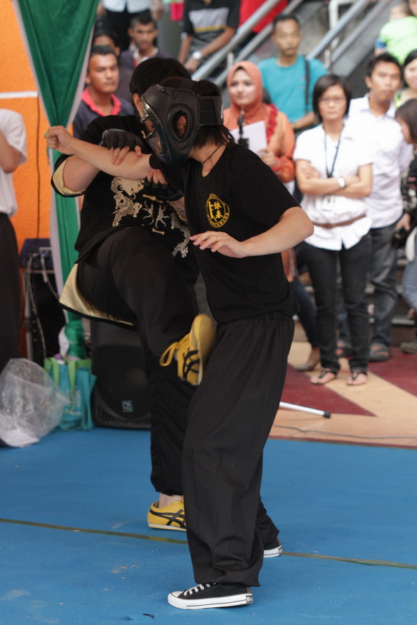 檳城葉問詠春拳法學會 Ip Man Wing Chun Penang Malaysia Kung Fu Performance at