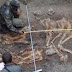 Hallan cuatro esqueletos de gigantes en Kubán en el sur de Rusia.