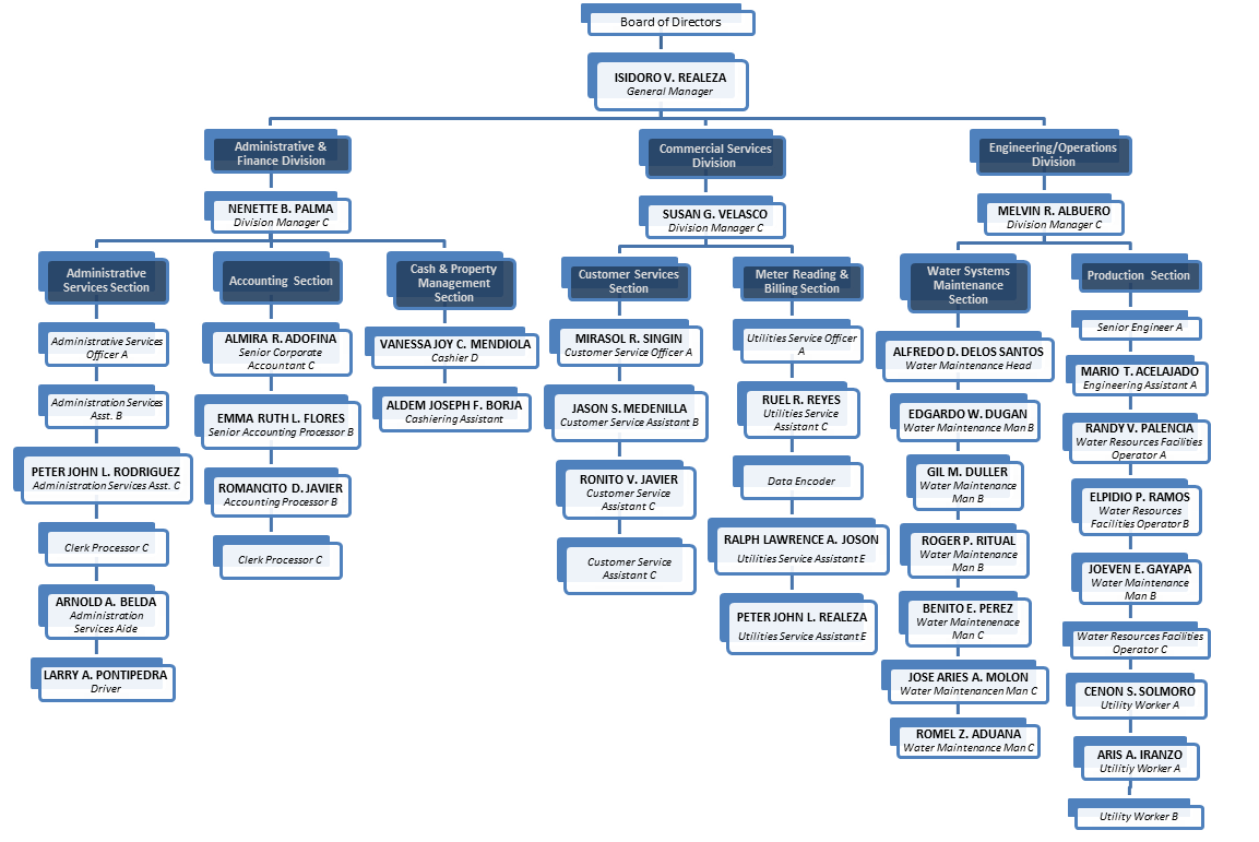 Organizational Chart For It Services Company