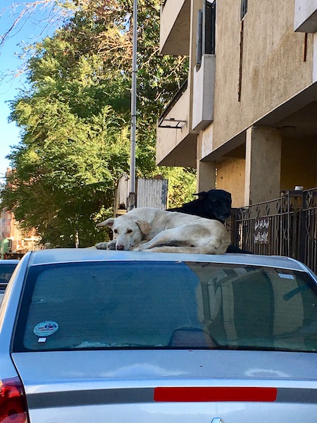 Manuela Sonntag Dezember 2009