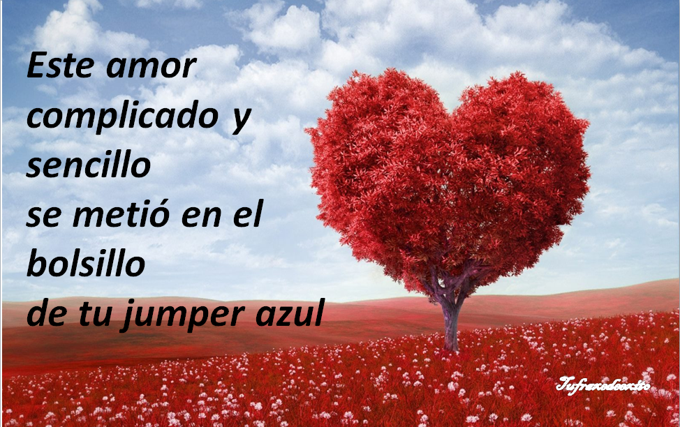 sentimiento sincero: poemas de amor