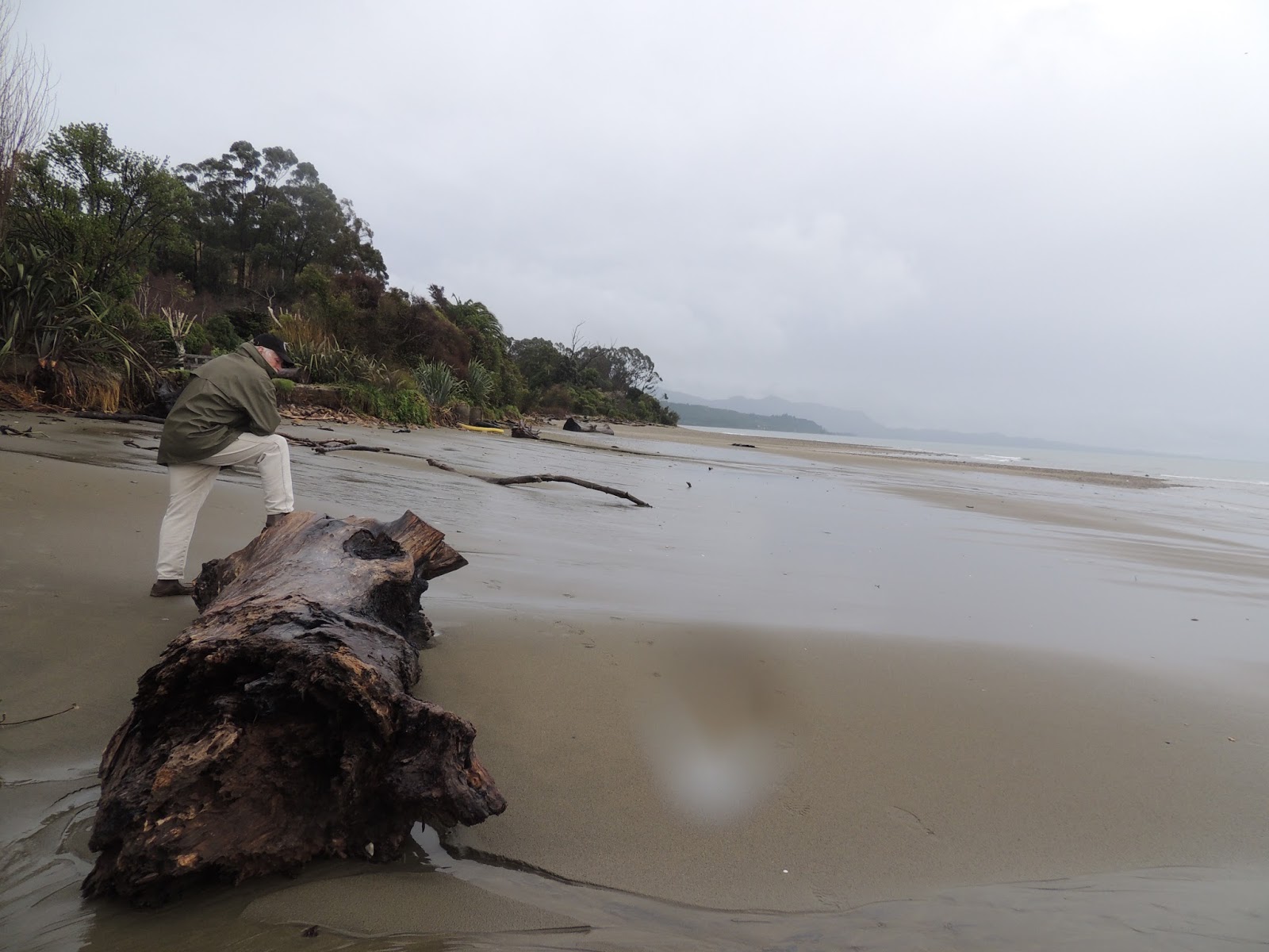THE ROAD TAKEN Tukurua Beach, Golden Bay