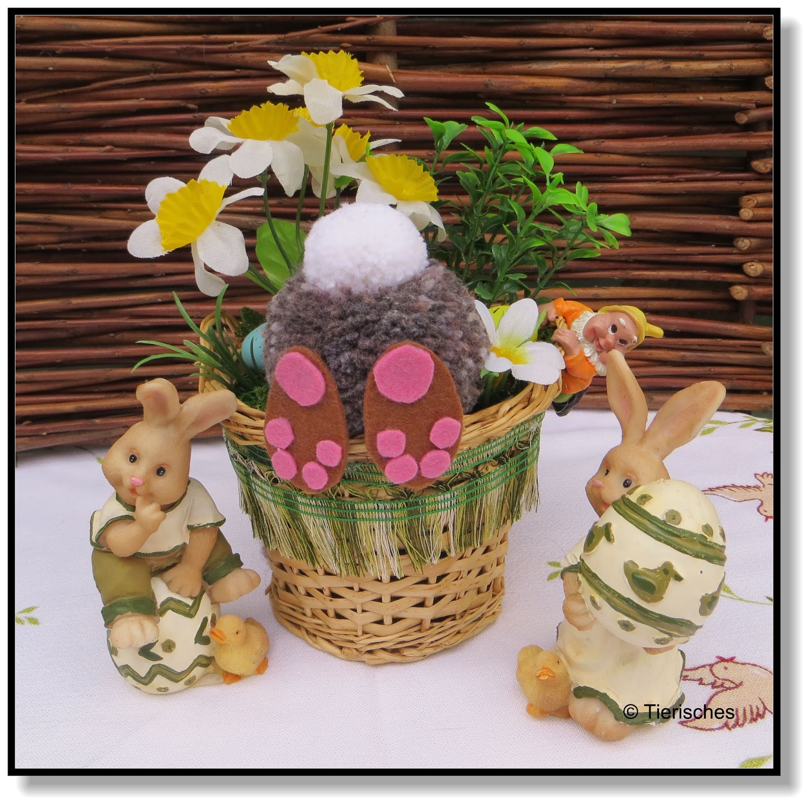 Tierisches Wir Zeigen Euch Wo Der Osterhase Die Eier Versteckt