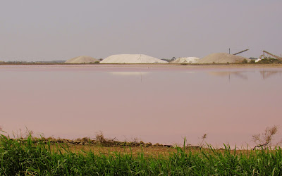 Sal de la Camarga. Salinas de Aigües Mortes