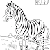 Desenhos de Zebra para Colorir