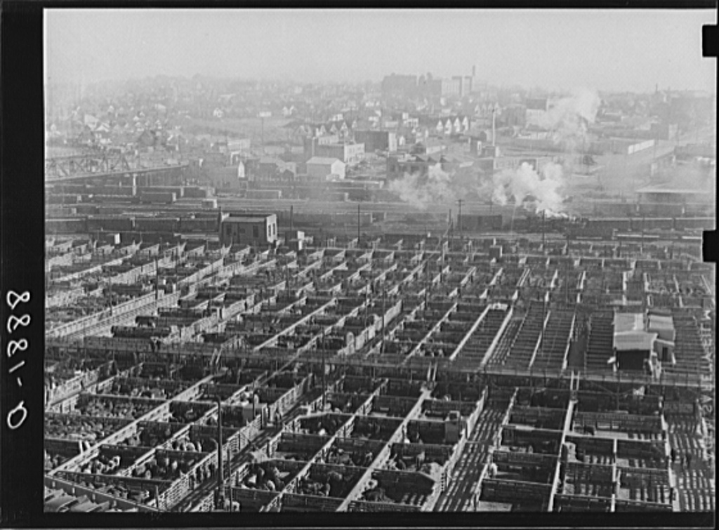 Omaha, Nebraska Stockyards Photos 1938 Big Picture Agriculture