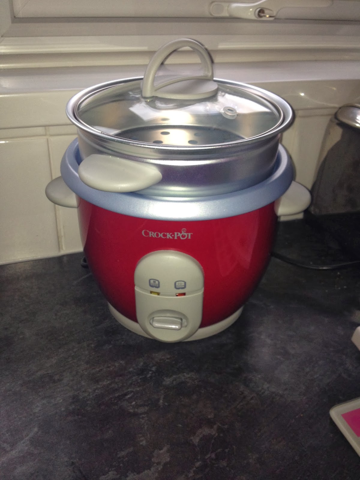 Crock Pot Rice Cooker Review MUMMY TO THE MAX