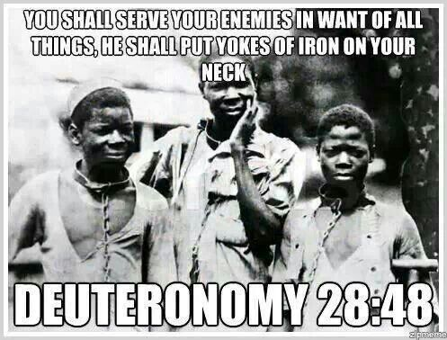 Deuteronomy 28:48