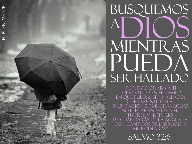 YO SOY EL BUEN PASTOR Salmo 326