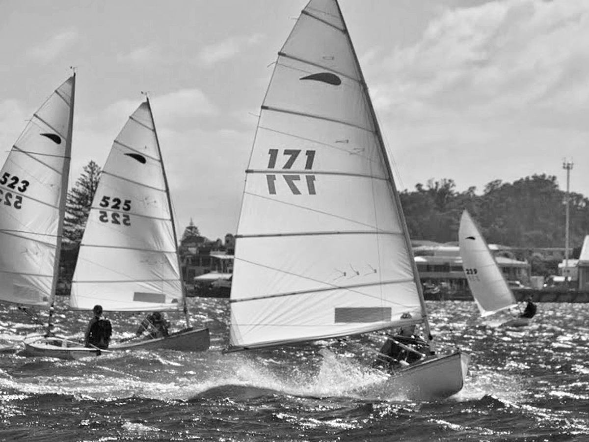 Earwigoagin New Zealand Zephyr Singlehander Dinghy