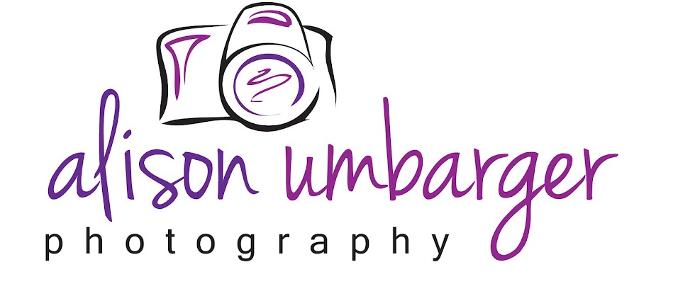 alison umbarger photography