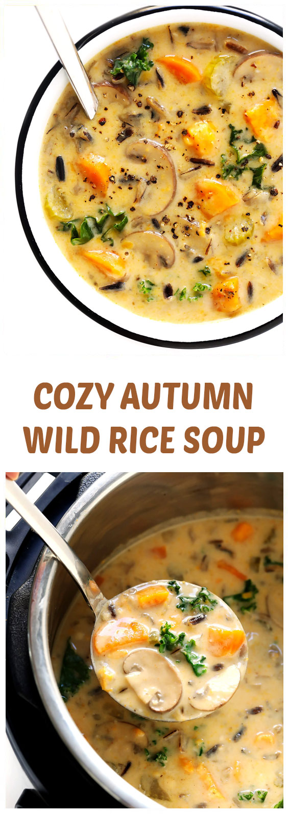 Cozy Autumn Wild Rice Soup - Mom Recipe Today