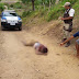Com requintes de crueldade, Ribeira do Amparo-BA registra o primeiro homicídio do ano