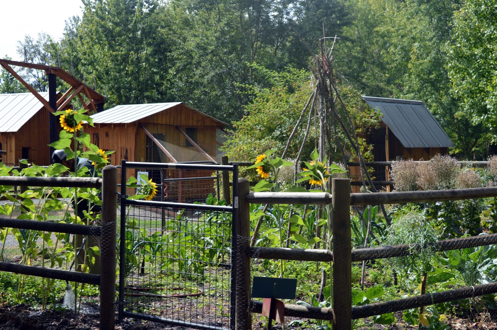 A Visit to Remlinger Farms in Carnation, WA
