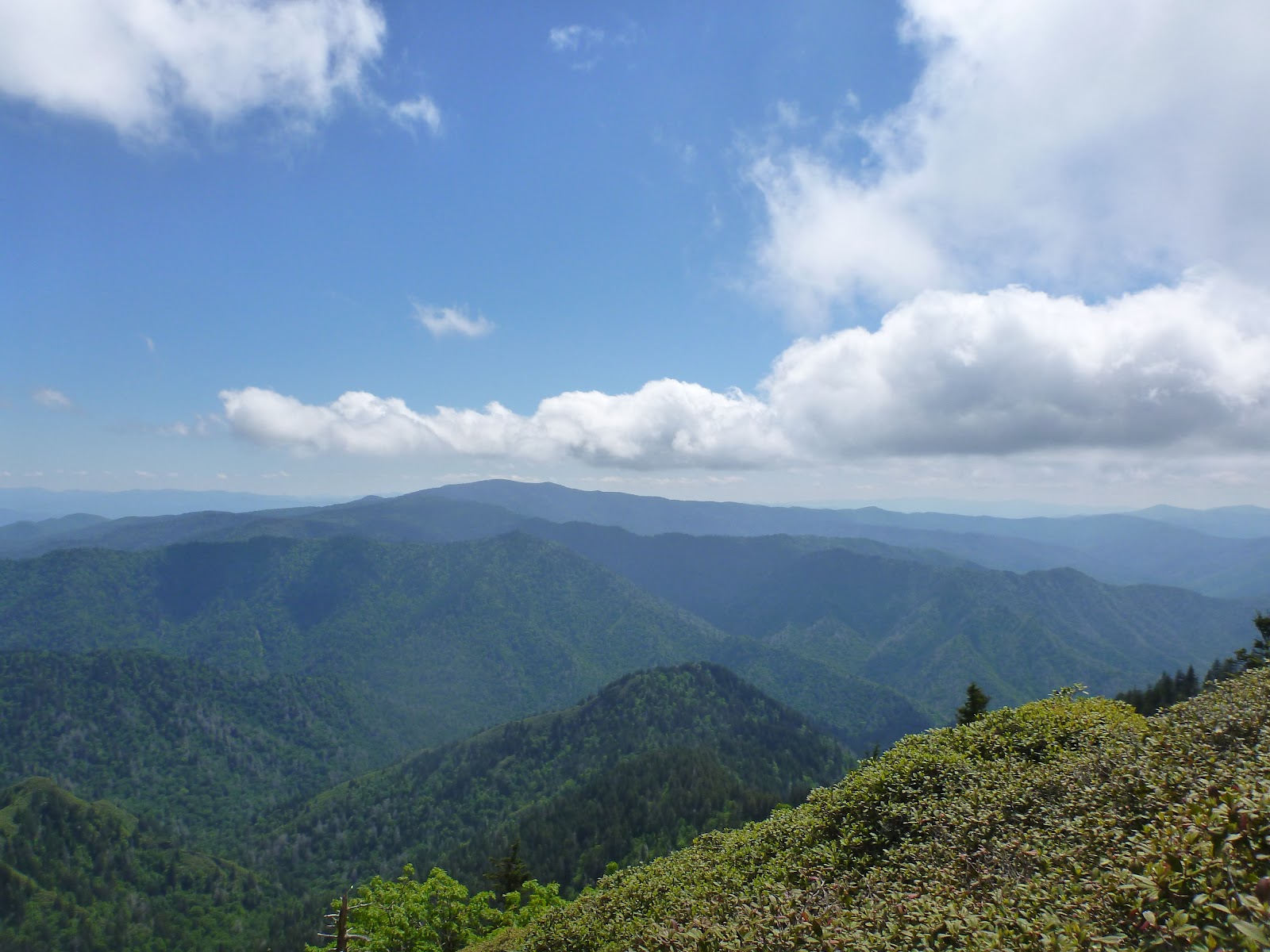 GSMNP HIKER Hike To Myrtle Point Via Rainbow Falls / Mt.LeConte