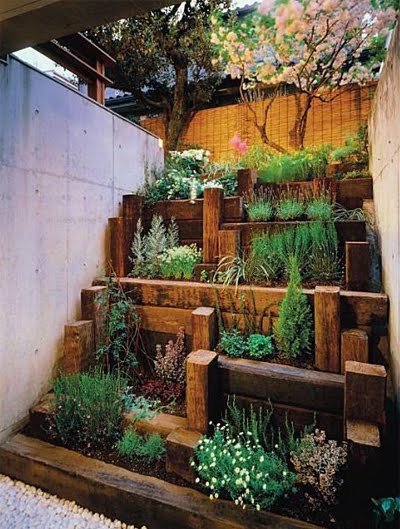 Yeye Things-eng: Gardening ideas for 2013