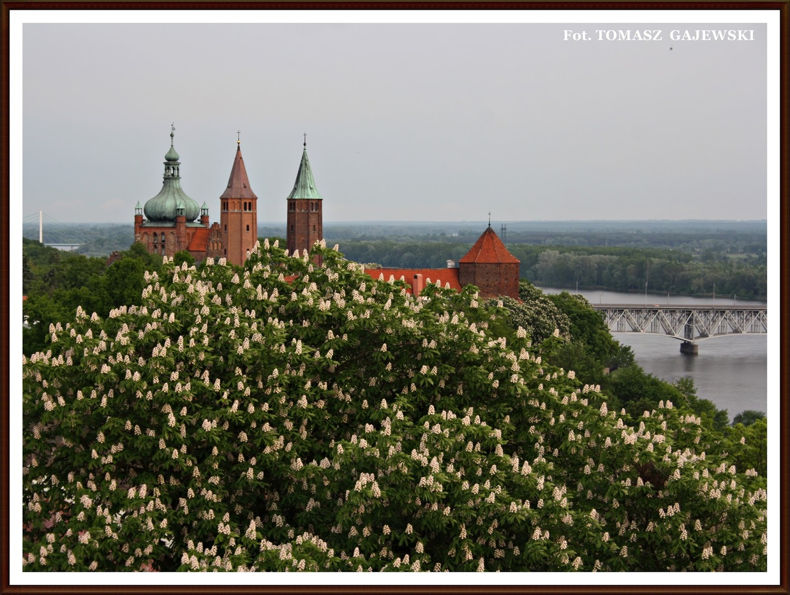 Zamki, pałace, dwory wycieczki z pasją PŁOCK Pozostałości Zamku