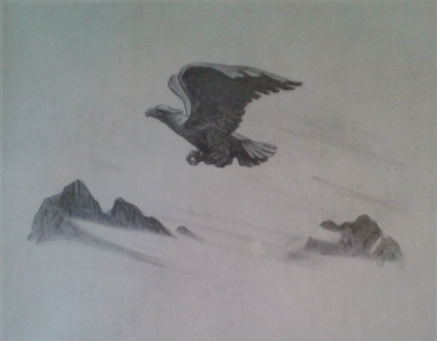 Studiengruppe Naturalismus Die Grafikerin und Malerin Lina Richter