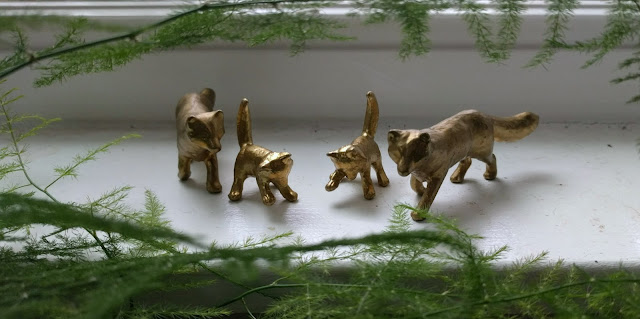 Foxes and asparagus fern posed as a pregnancy announcement for twins