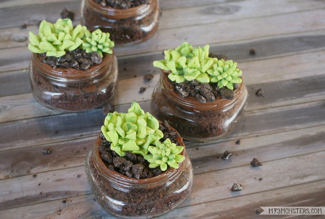 Darling Mini Succulent Planter Cakes in mason jars from /