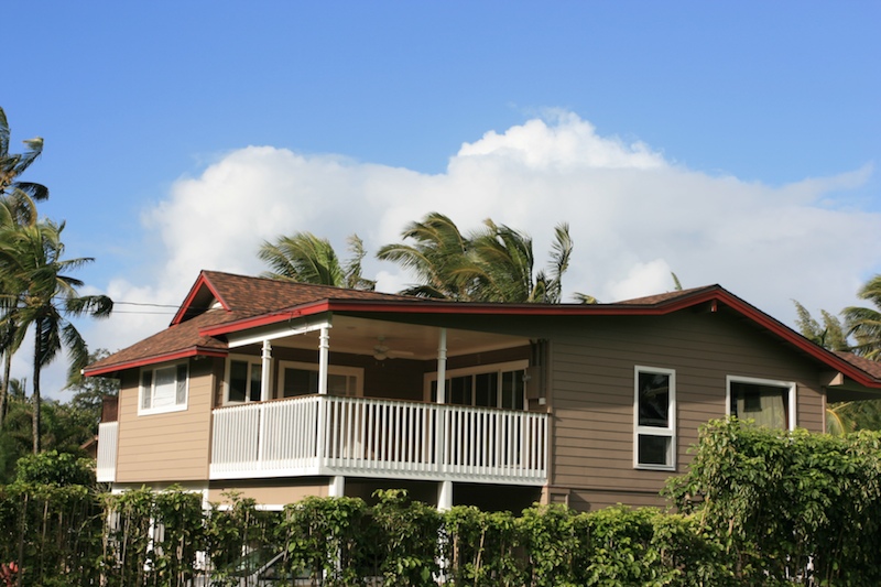 KauaiEclectic: Musings: Abuse Chronicles 7