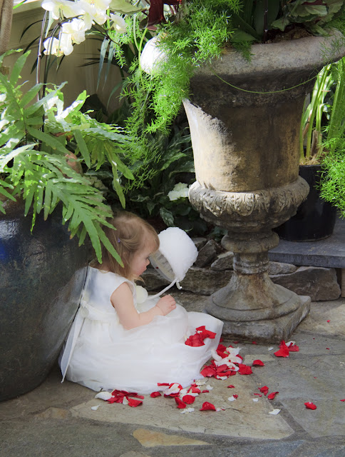 web+%252840%2529 - Barbara & Stephen - March 31st  2011