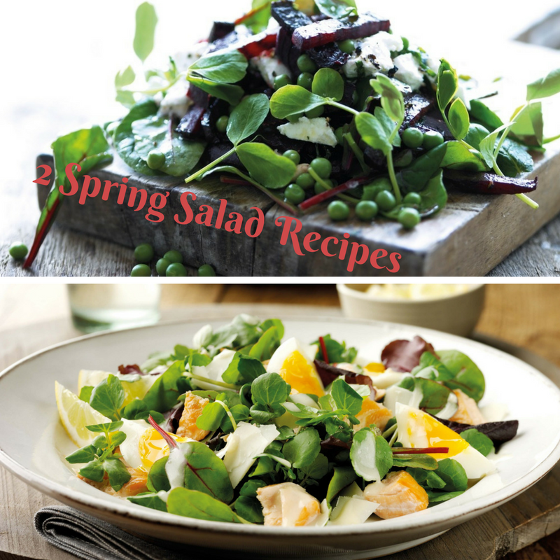 2 Spring Salad Recipes 2 Spring Salad Recipes