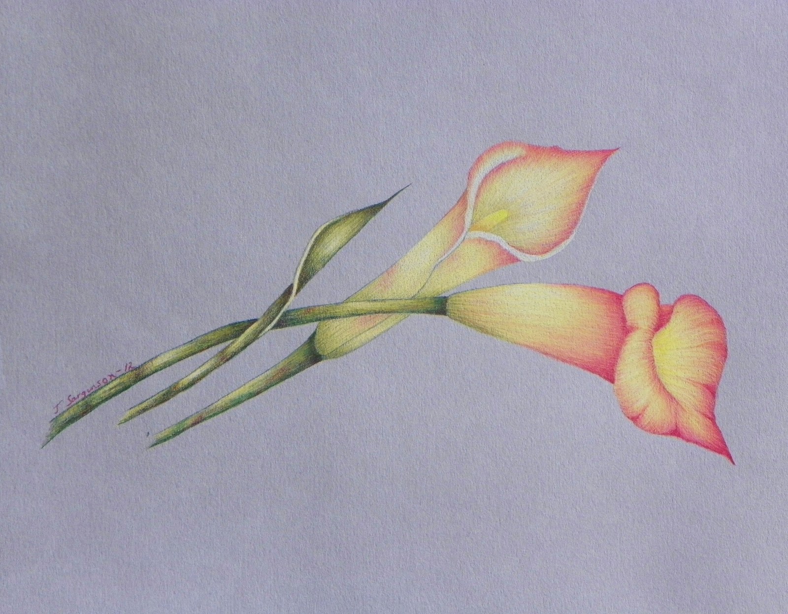 Joan's Pen & Ink with Oils, Coloured Pencils: April 2013