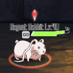 SAO MD - Ragout Rabbit