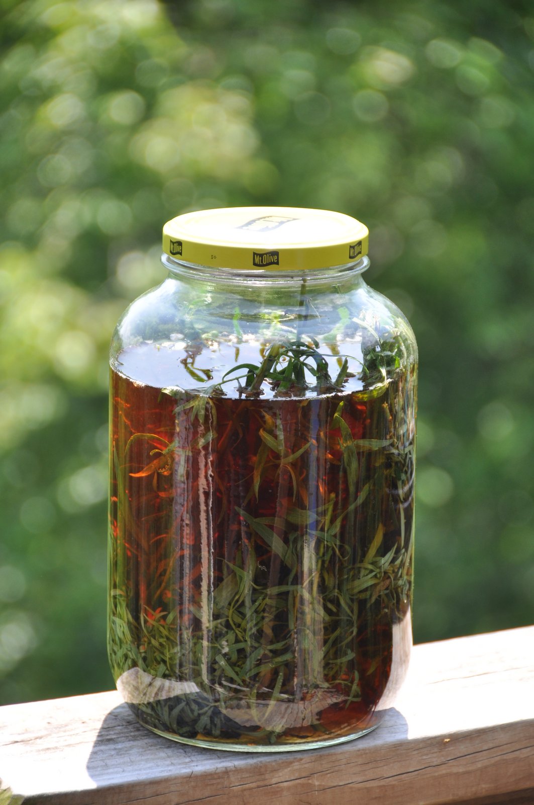 Vicki Lane Mysteries Tarragon Vinegar