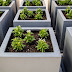 Planter Boxes Decorate the Garden with Style and Functionality