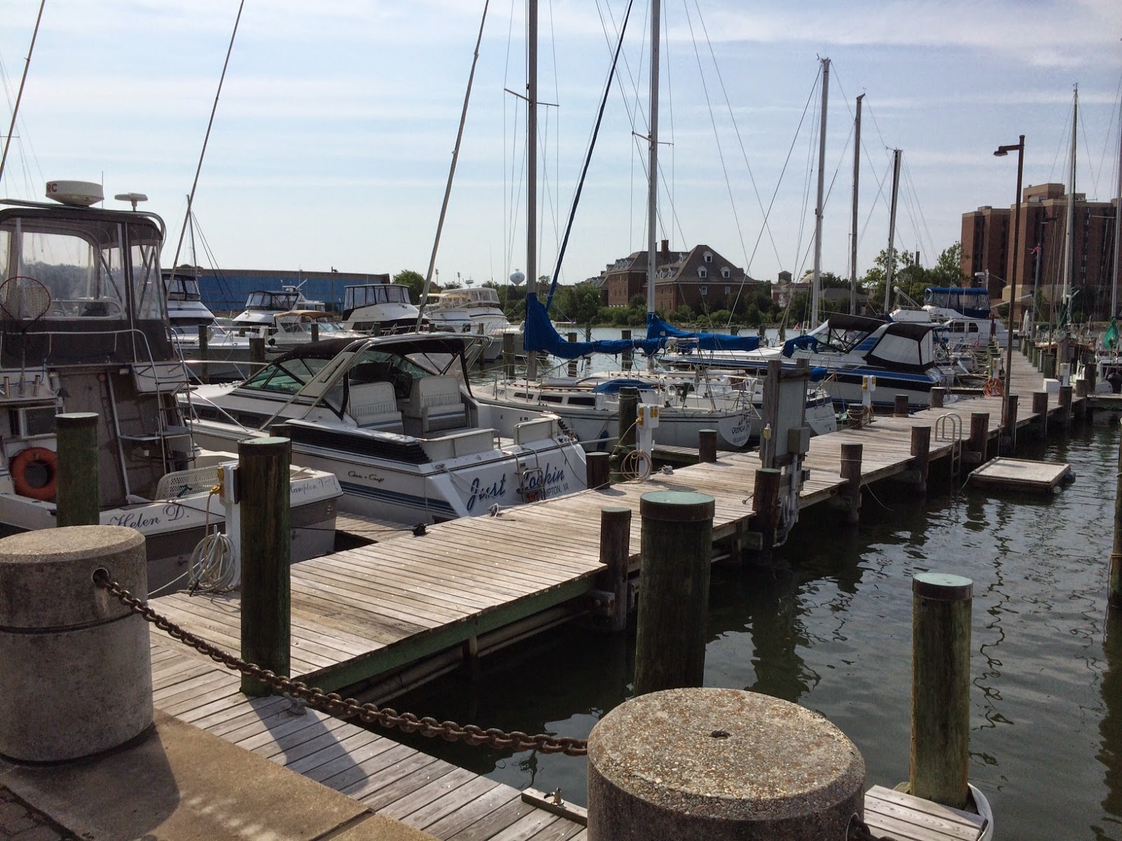 Pawstcards from Hampton Roads: Downtown Hampton VA