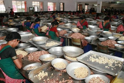 NEW PROCESSING UNITS NEW+PROCESSING+UNITS