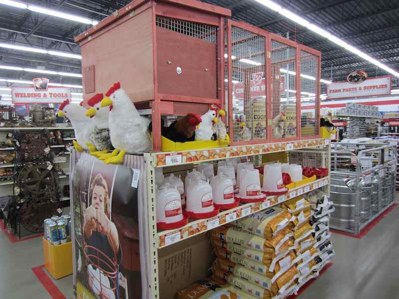 Rensselaer Adventures Tractor Supply is now open