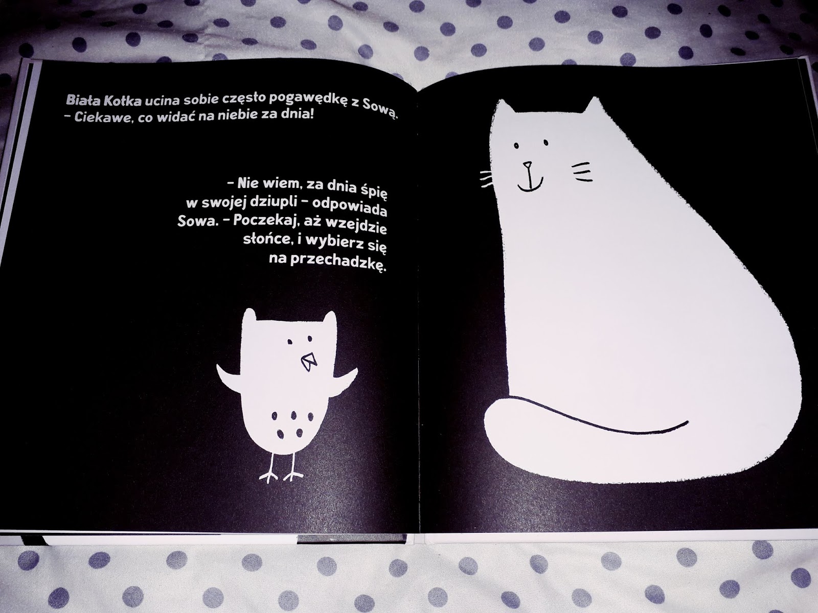 J A K E Mama Ewki Czarny Kot Biala Kotka Silvia Borando