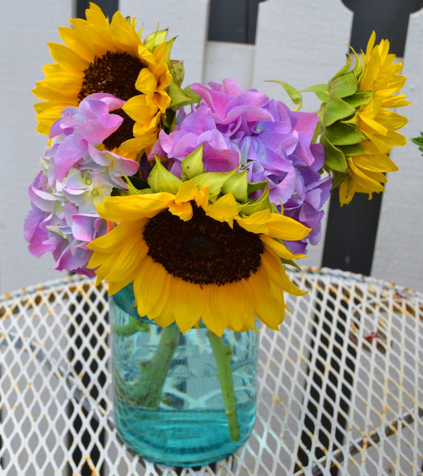 Amazon Com Transparent Glass Vases Ornaments Living Room