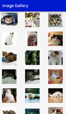 Screenshot_GridView Example Screenshot_GridView Example