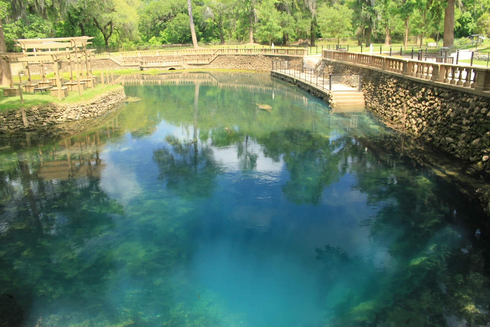 Til the Last Hemlock Dies Radium Springs,