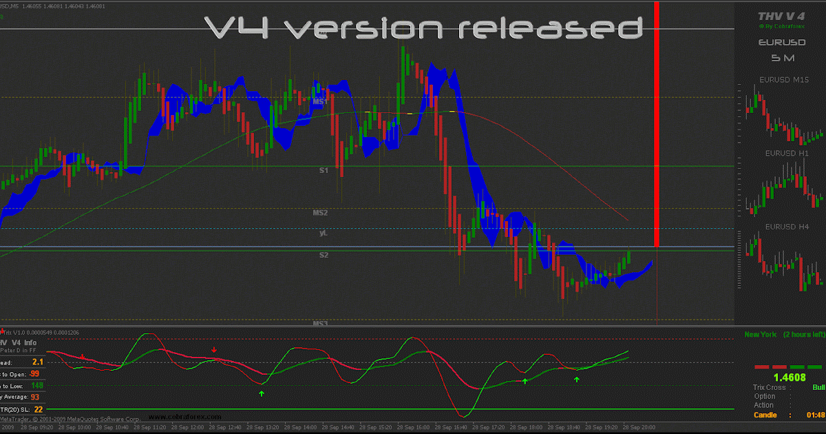 Dragon pro expert forex v3 1 free download