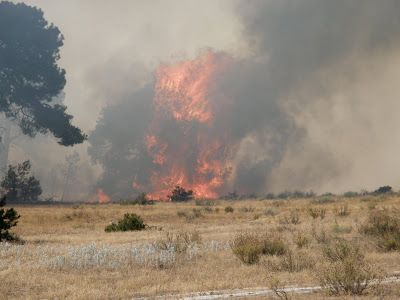 incencio-cantalejo