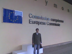 Marcello Zuinisi - Nazione Rom incontro con la Commissione Europea