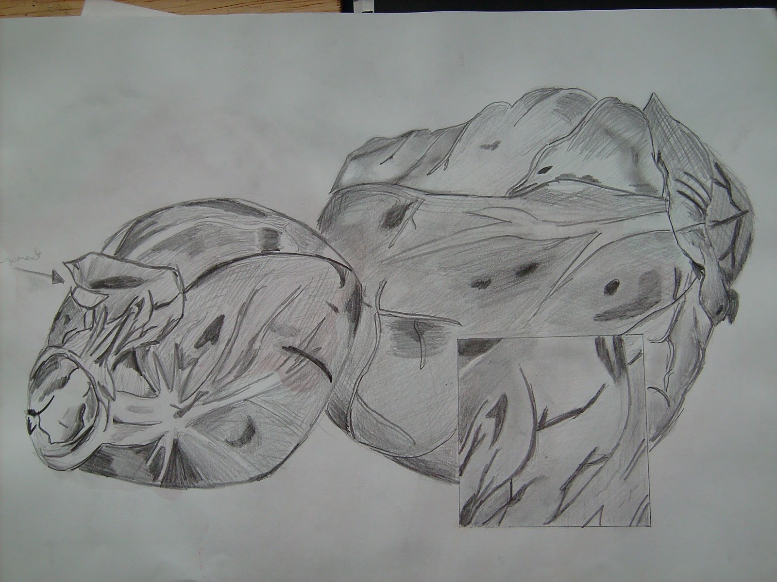 Chris' Painting/Drawing Blog: A Discussion of Pencil Sketching