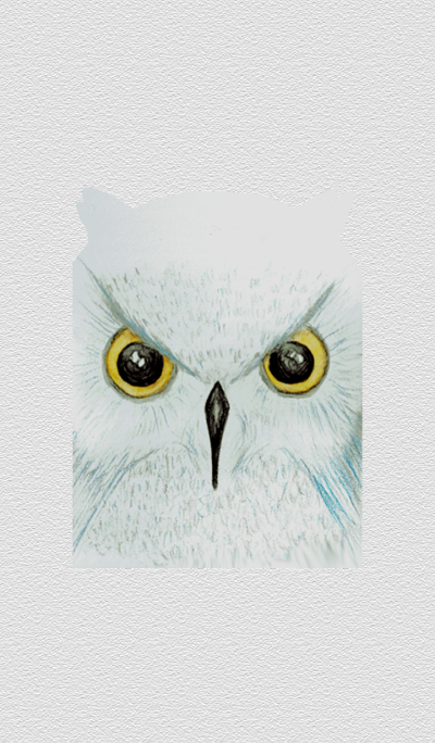 Blue Owl(Watercolor pencils)