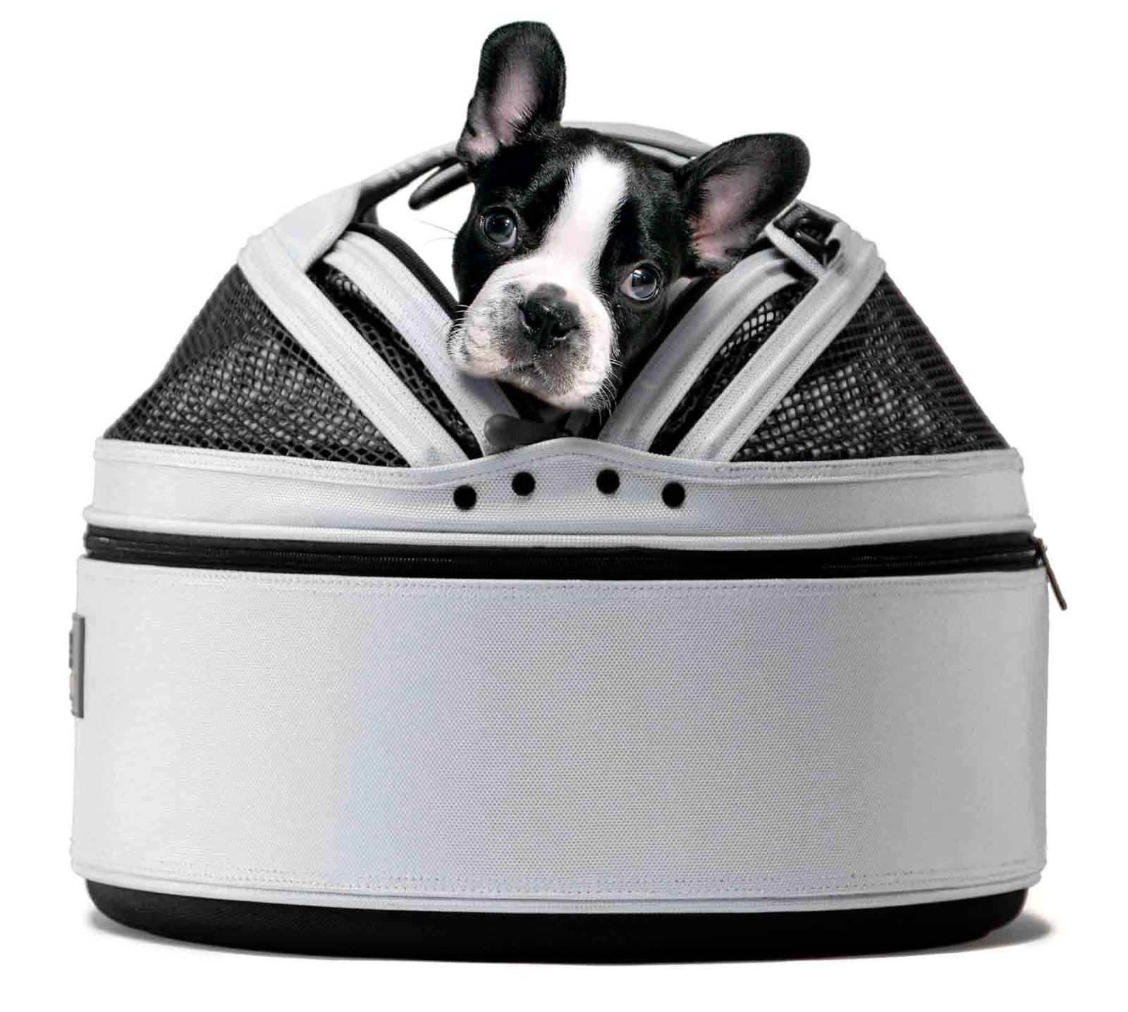 Dog Travel Accessories for Summer 2016 Australian Dog Lover