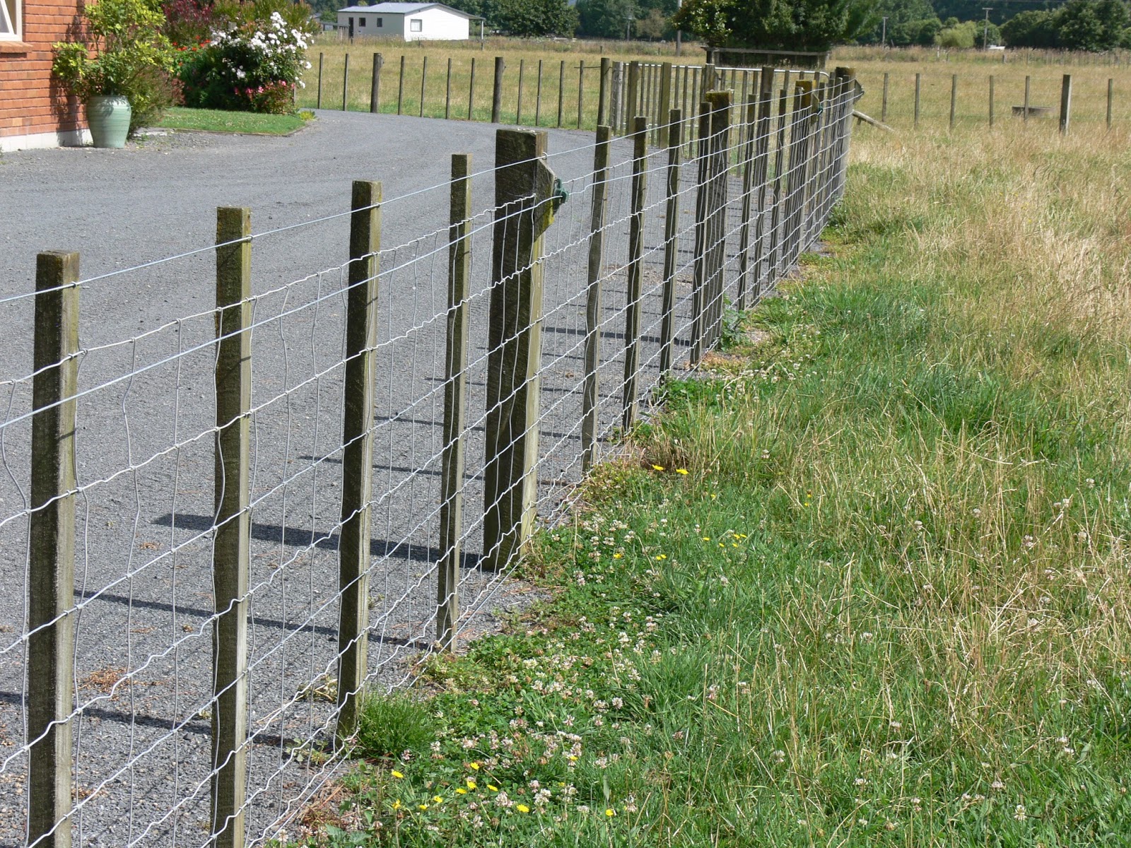Woolshed 1 New Zealand farming. Fencing Glossary of terms.