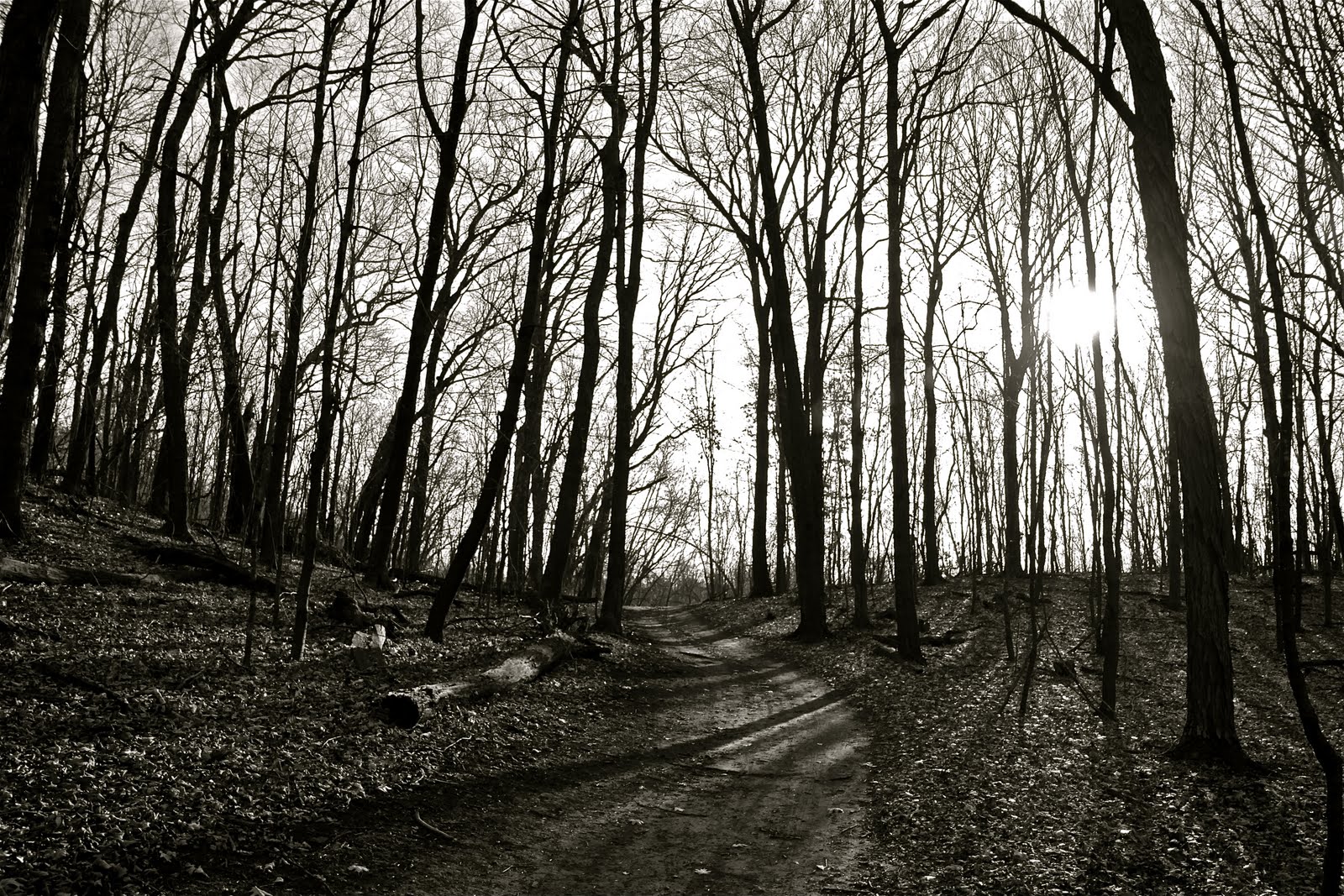 Bill's Magical Mystery Tour... Bleak Landscape