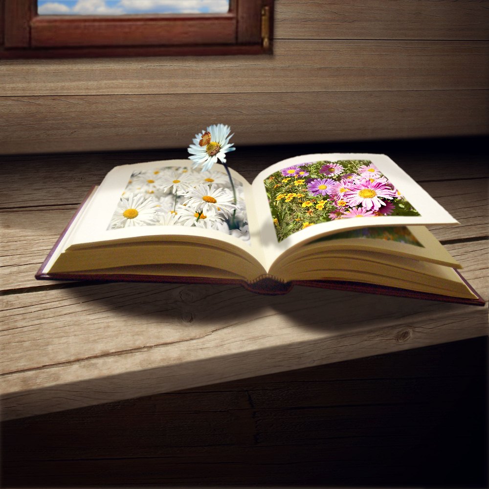 Раскрытая тайна жизни. Раскрытая книга. Красивые книжки. Книга цветы. Красивые книги.