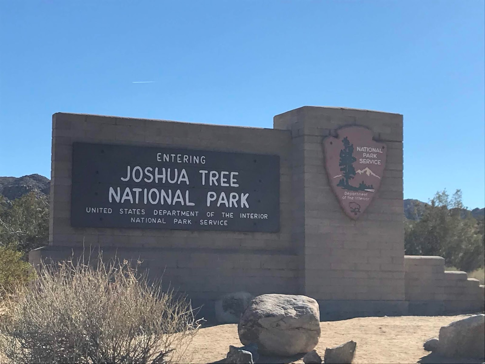 人生で一番の星空 ジョシュアツリー国立公園 Joshua Tree National Parkでキャンプ
